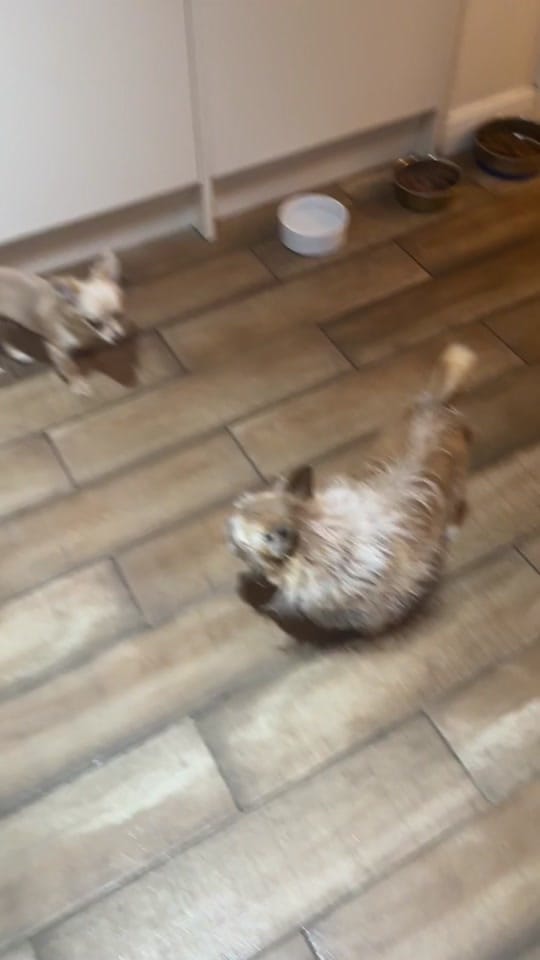 Post 4 by Sophie Long Art on TikTok (video)