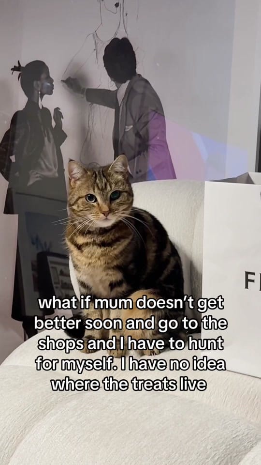 Post 5 by Lady Naomi Jane Adams on TikTok (video)
