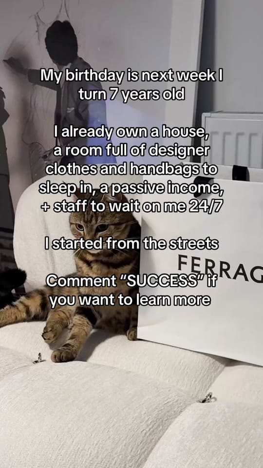 Post 7 by Lady Naomi Jane Adams on TikTok (video)