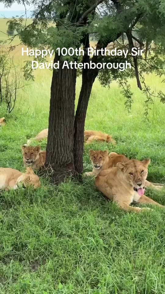 Post 1 by Lady Naomi Jane Adams on TikTok (video)