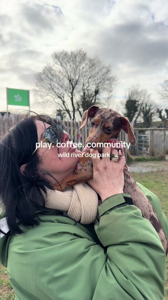 Post 3 by Wild River Dog Park on TikTok (video)