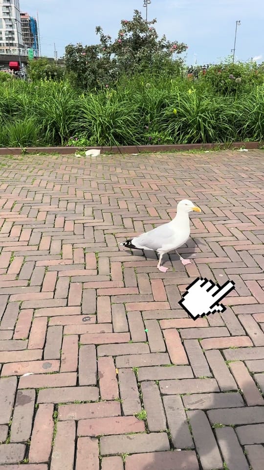 Post 9 by William on TikTok (video)