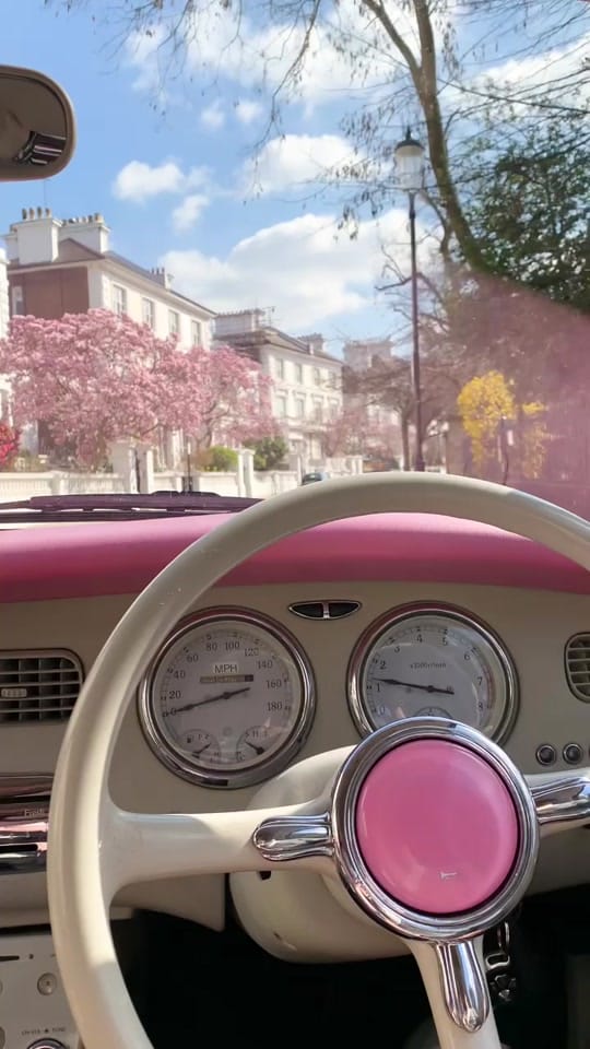 Post 5 by Lola le Pink Figaro on TikTok (video)