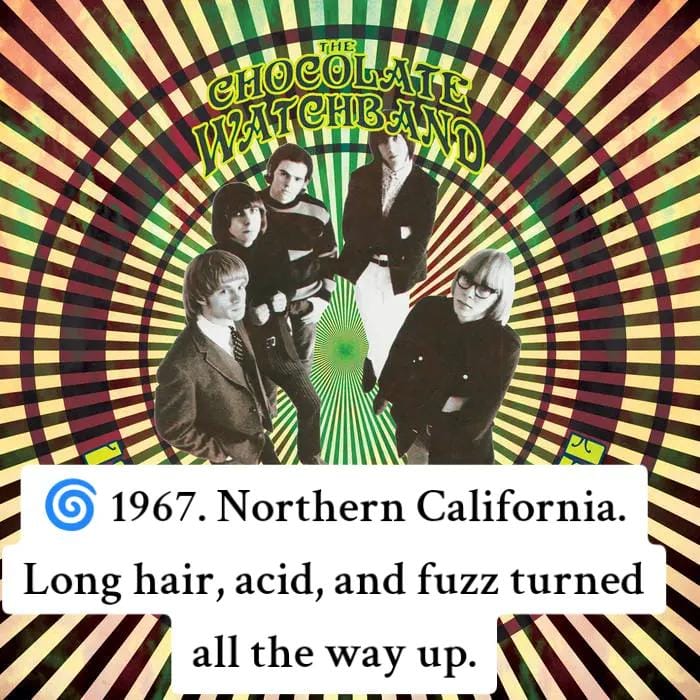 Post 5 by vintagevibrations on TikTok (video)
