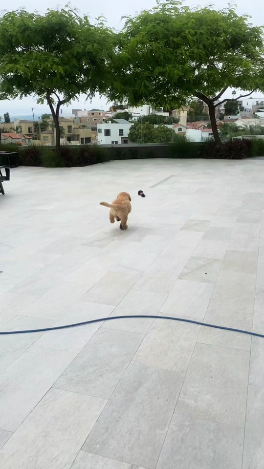 Post 4 by friidaa on TikTok (video)