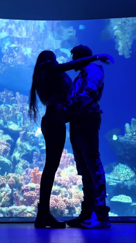 Post 2 by elidimitrovaa on TikTok (video)
