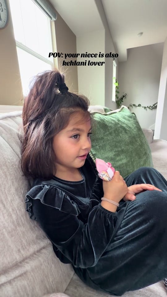 Post 7 by Leyla Alamyar on TikTok (video)