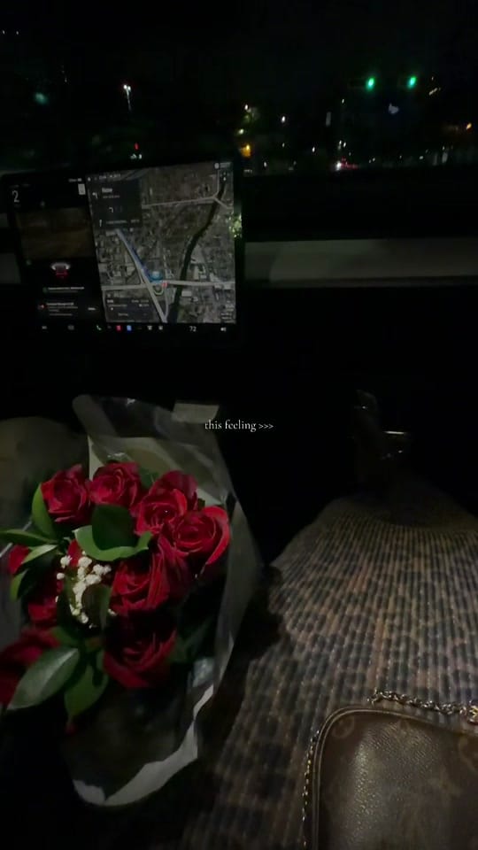 Post 3 by Ro Lyss ♡ on TikTok (video)