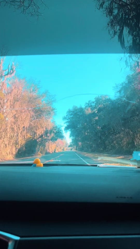 Post 3 by claire💋 on TikTok (video)
