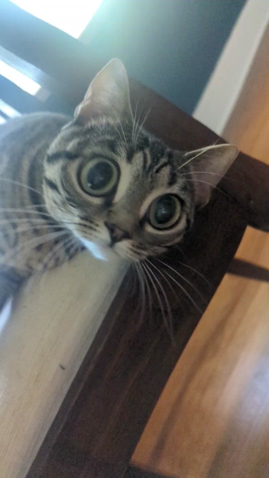 Post 5 by claire💋 on TikTok (video)