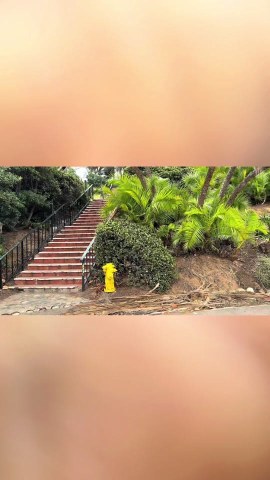 Post 7 by GoosbyTwins on TikTok (video)