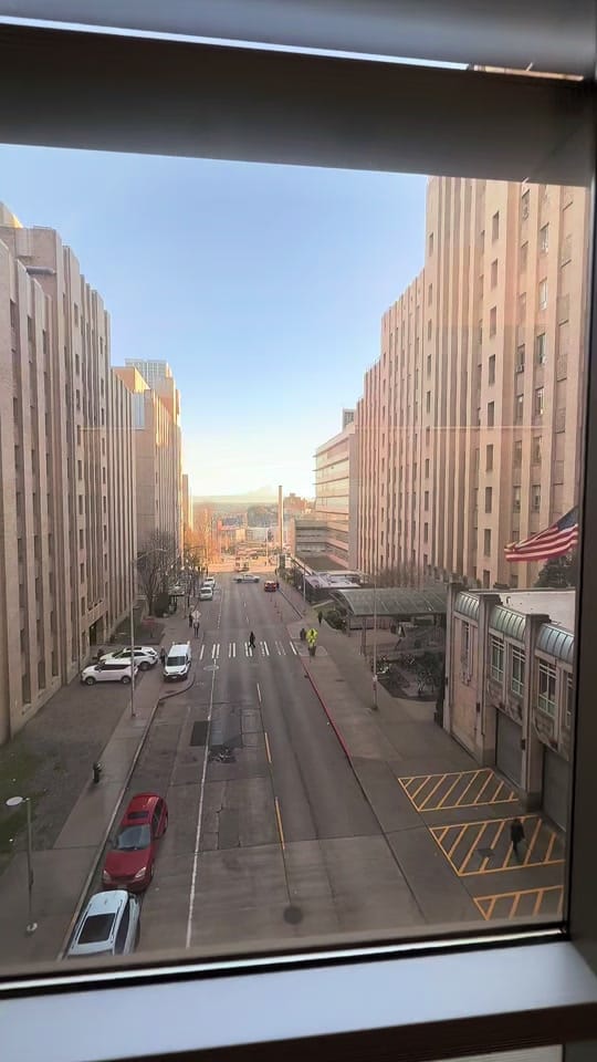 Post 5 by bluesquirrelnews on TikTok (video)