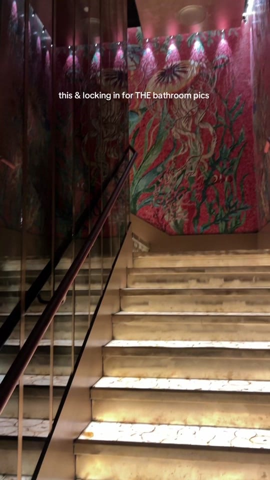 Post 9 by ariana on TikTok (video)