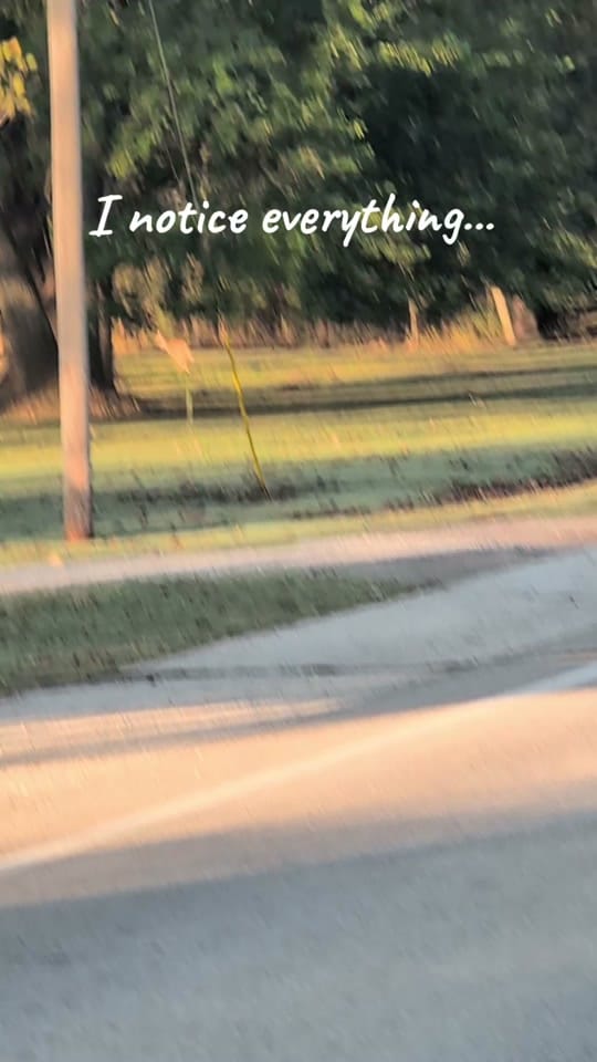 Post 1 by The Sporadic Traveler on TikTok (video)