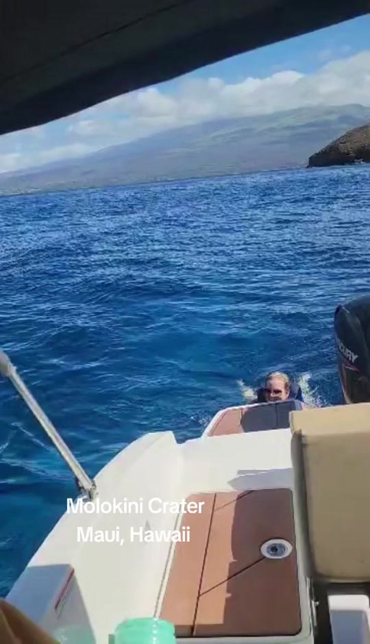 Post 8 by The Sporadic Traveler on TikTok (video)