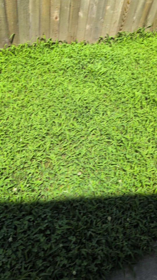 Post 4 by The Sporadic Traveler on TikTok (video)