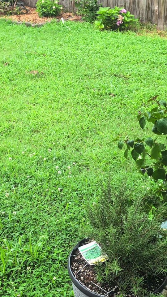 Post 5 by The Sporadic Traveler on TikTok (video)