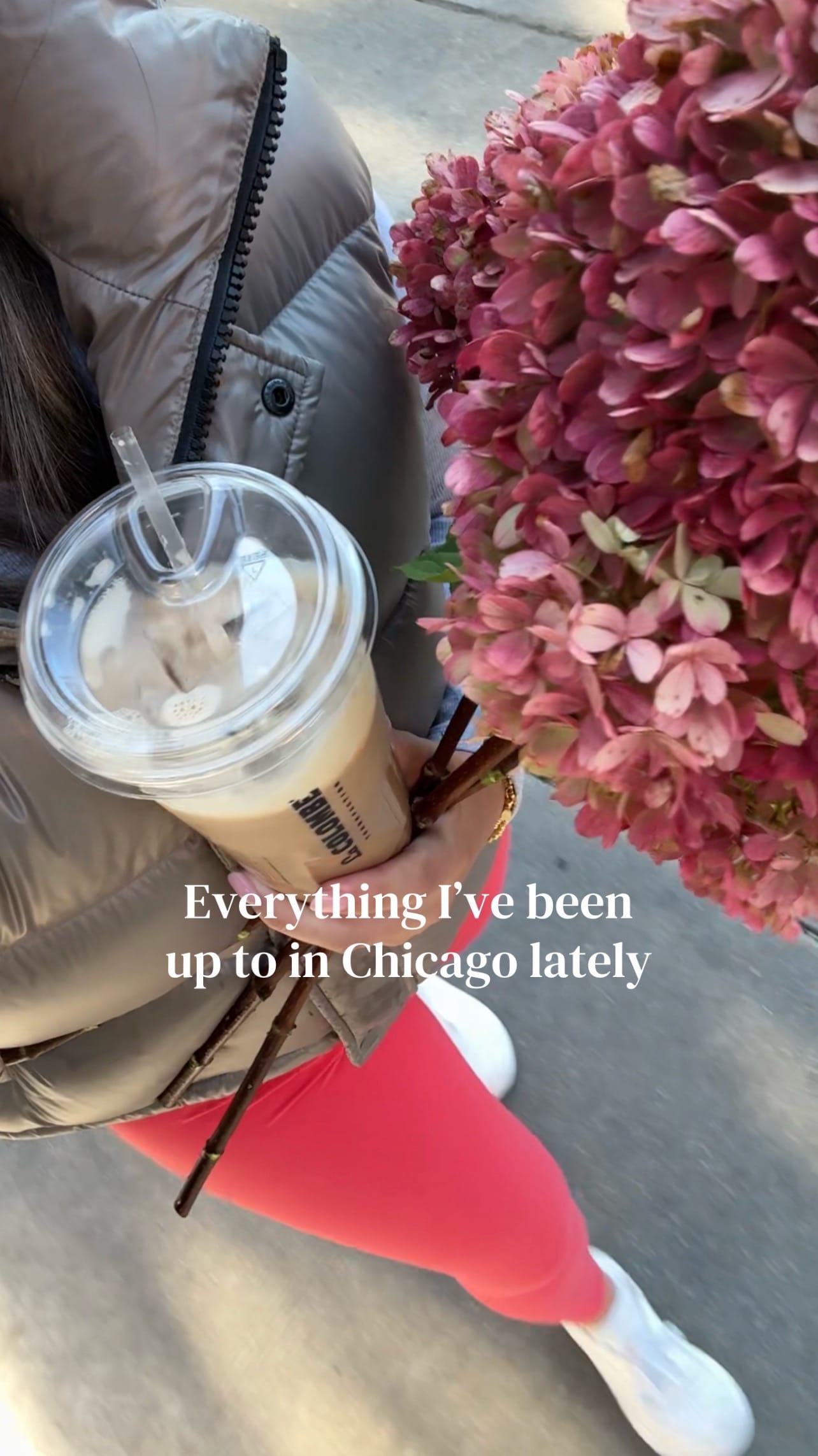 Post 8 by Lauren on TikTok (video)