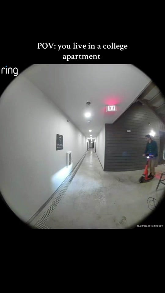 Post 4 by Lauren Morris on TikTok (video)