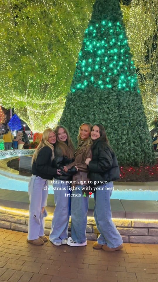 Post 5 by Lauren Morris on TikTok (video)
