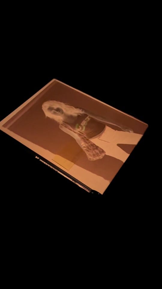 Post 5 by Sivan Savage Miller on TikTok (video)
