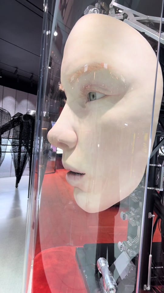 Post 4 by Sivan Savage Miller on TikTok (video)
