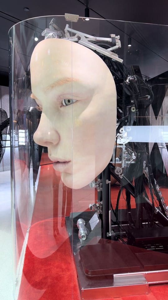 Post 3 by Sivan Savage Miller on TikTok (video)