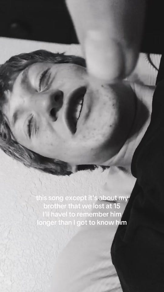 Post 3 by syd on TikTok (video)