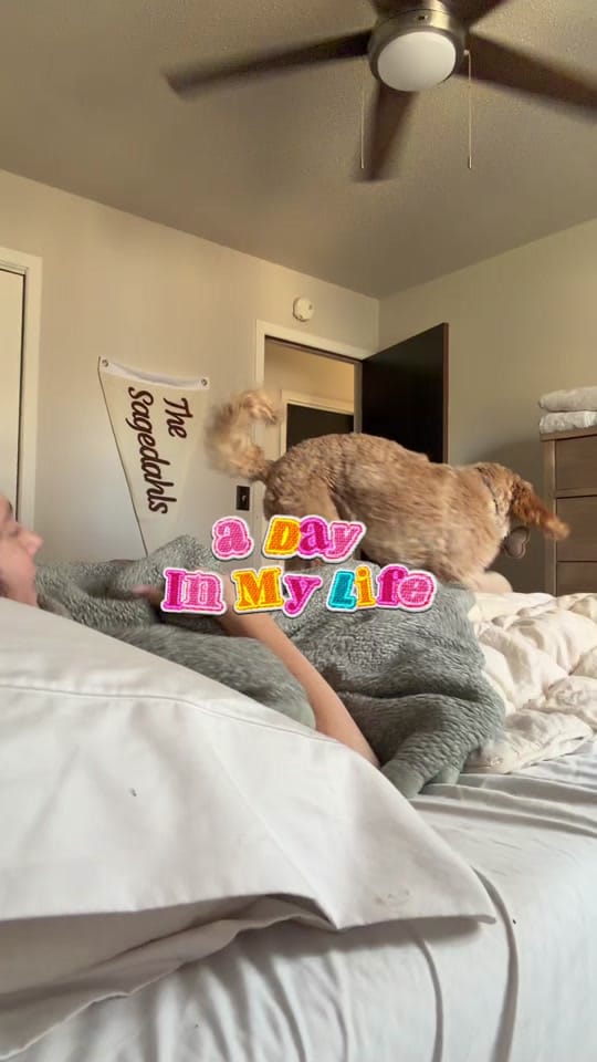 Post 7 by syd on TikTok (video)
