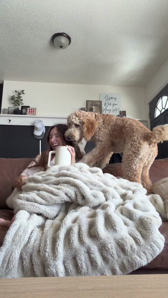 Post 5 by syd on TikTok (video)