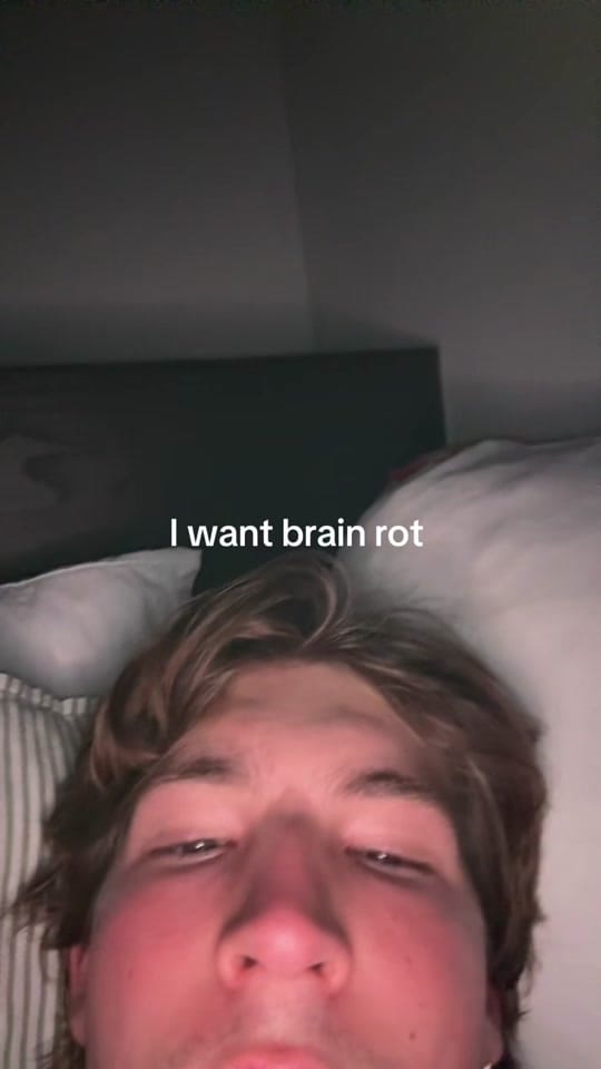 Post 5 by alex on TikTok (video)