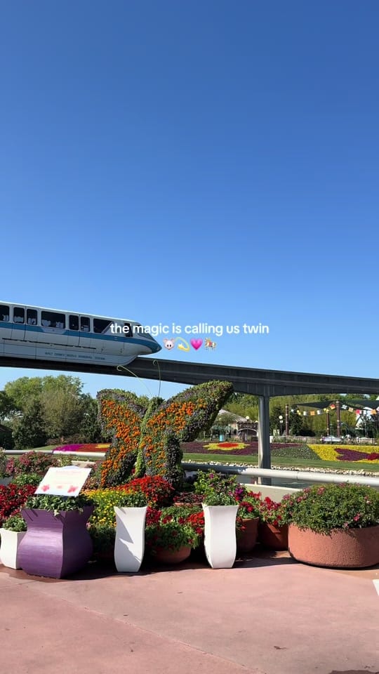 Post 1 by jeana_butler on TikTok (video)