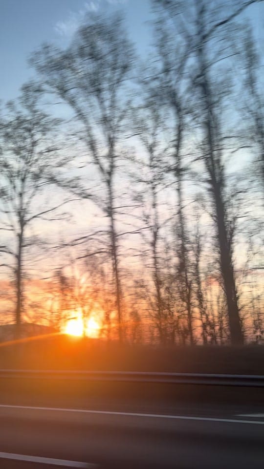 Post 7 by Bostie Mom on TikTok (video)