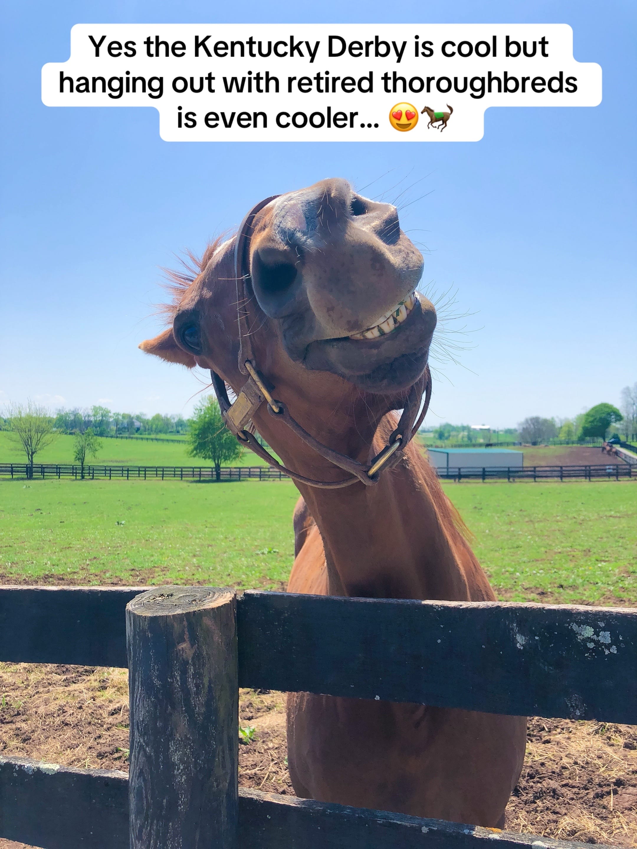 Post 3 by Templeton Travels on TikTok (video)