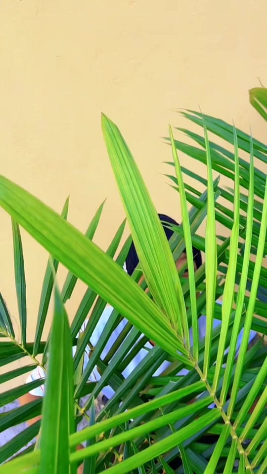 Post 8 by lulu de queen__tz on TikTok (video)