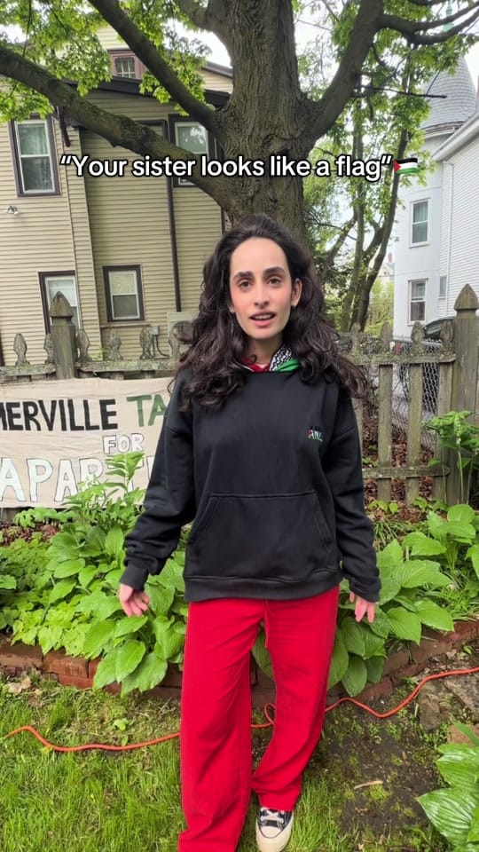 Post 1 by Salma🇵🇸 on TikTok (video)