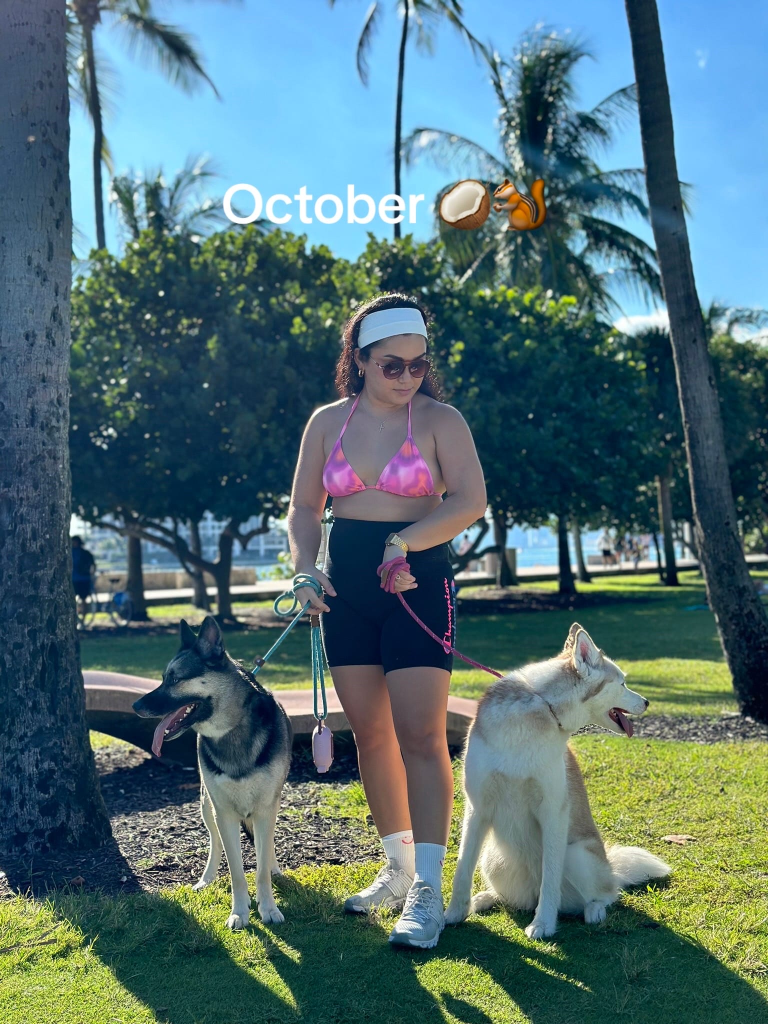 Post 5 by Geri on TikTok (video)