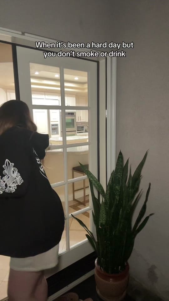 Post 4 by Edith Gevshenian on TikTok (video)