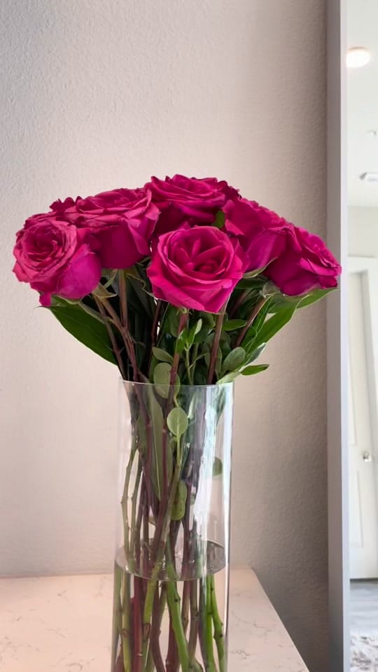 Post 9 by Erica | Lifestyle & Beauty on TikTok (video)