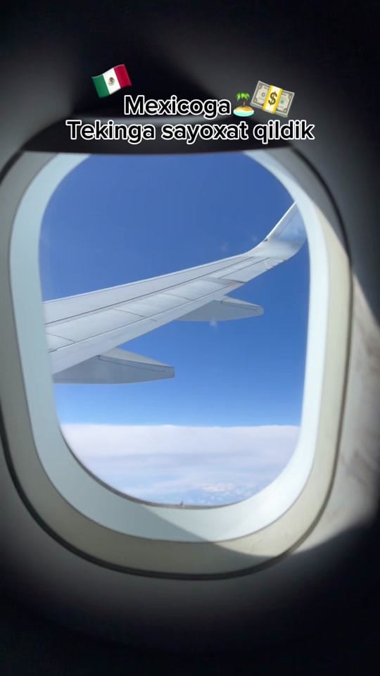 Post 7 by Saodat Rakhmatova on TikTok (video)