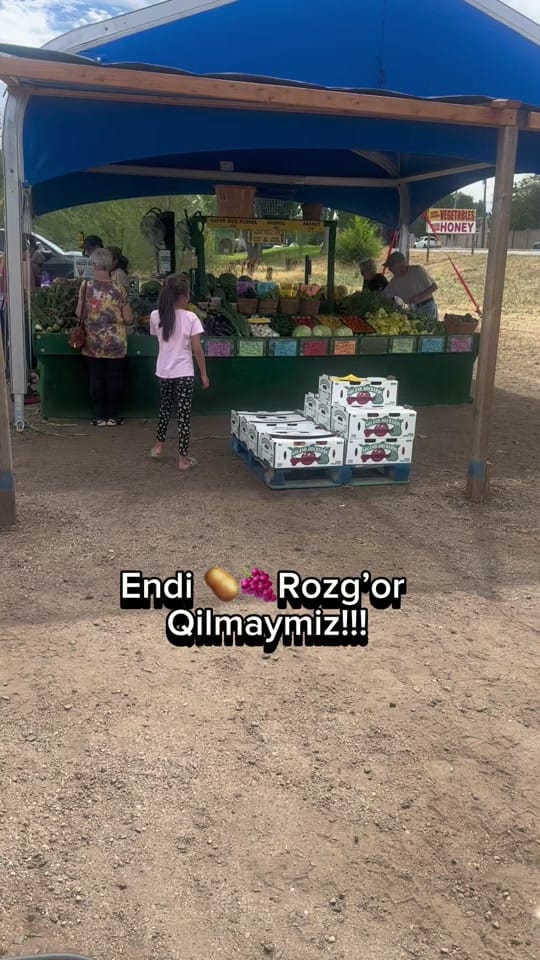 Post 3 by Saodat Rakhmatova on TikTok (video)