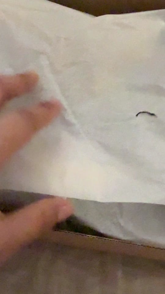 Post 6 by Gina Rodriguez on TikTok (video)