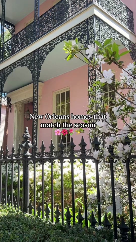 Post 7 by EatingWithCait | Nola Foodie⚜️ on TikTok (video)