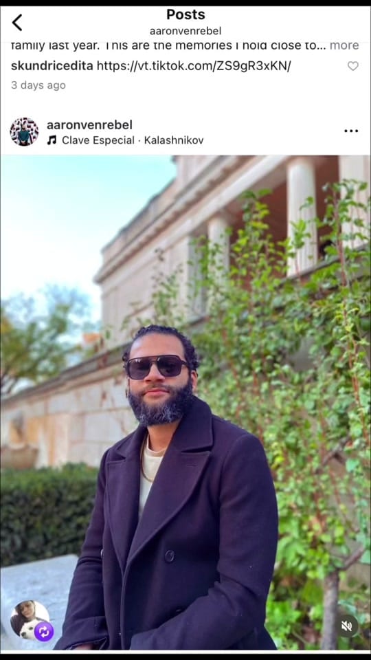 Post 1 by Aaron Palacios Rebel on TikTok (video)