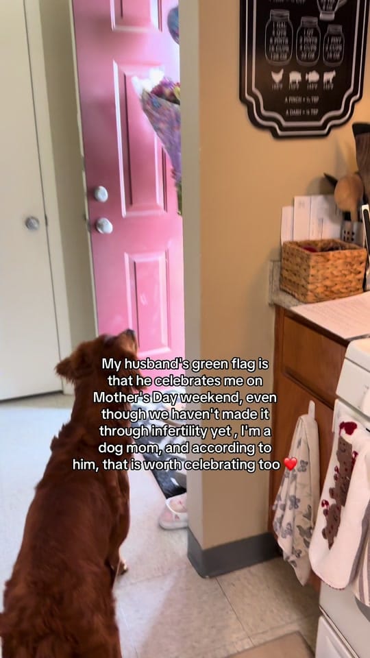 Post 8 by bekah | brit in the usa on TikTok (video)