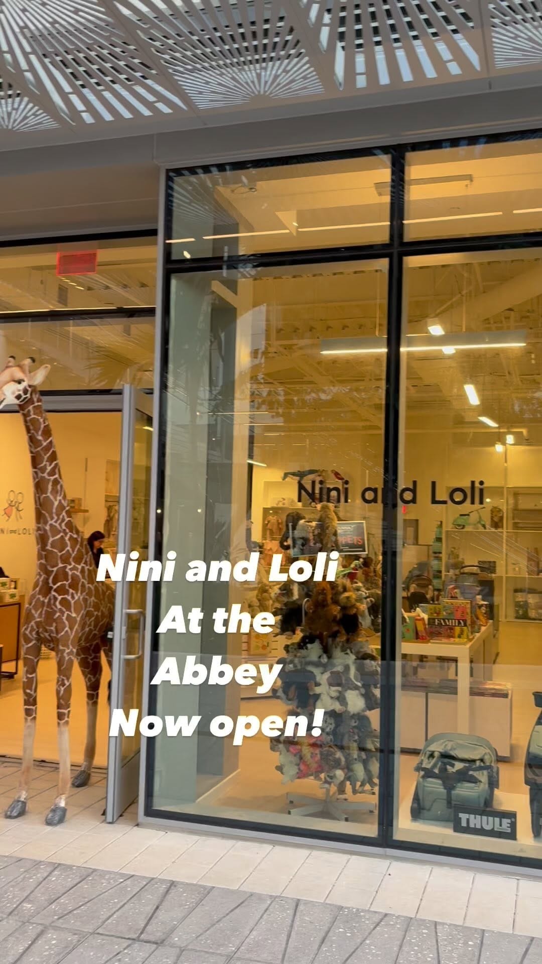 Post 9 by NINI and LOLI on Instagram (video)