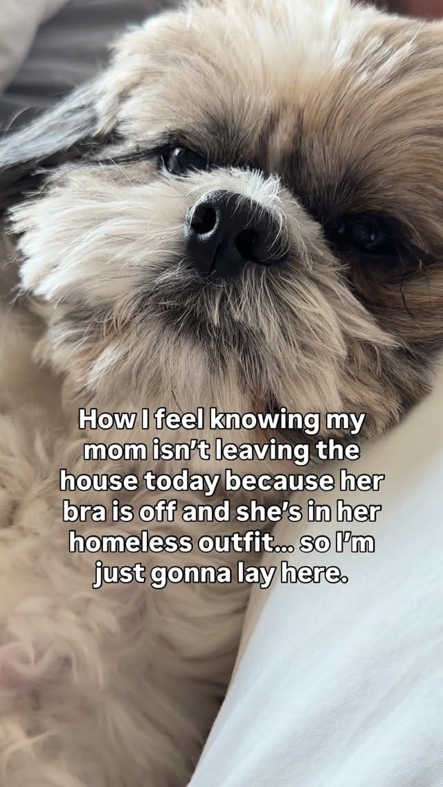 Post 6 by 🌴 Loretta 🌴 The OG Boca Mom on Instagram (video)