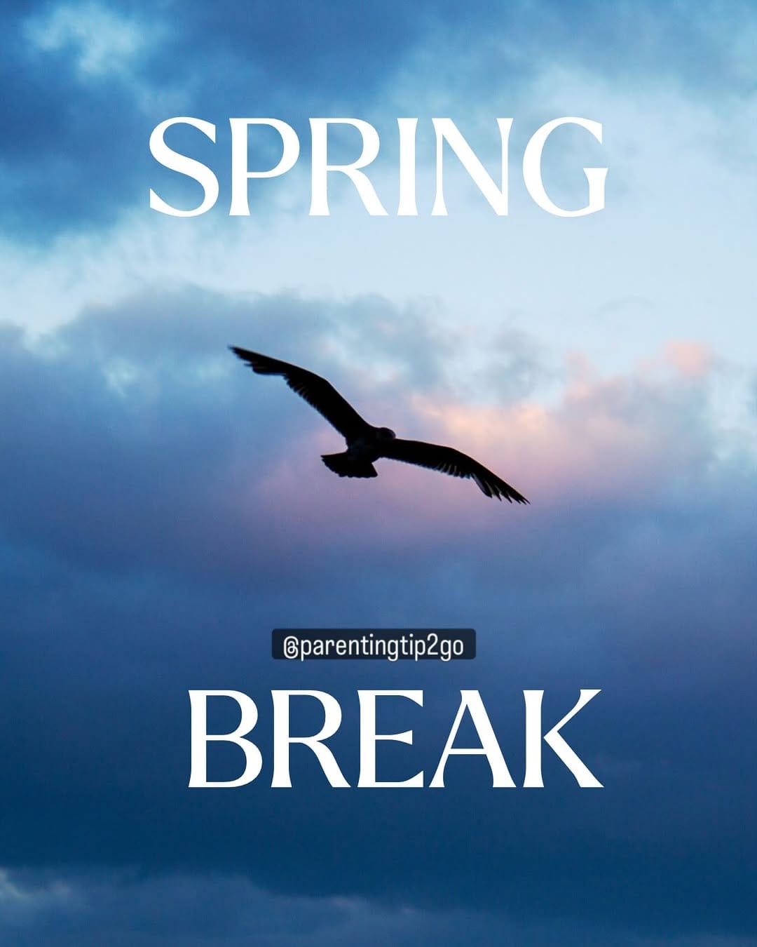 Post 9 by Theresa Santoro on Instagram (image)
