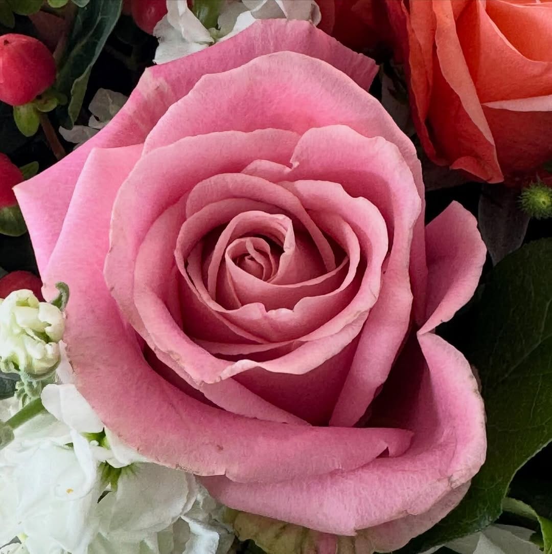 Post 7 by Theresa Santoro on Instagram (image)