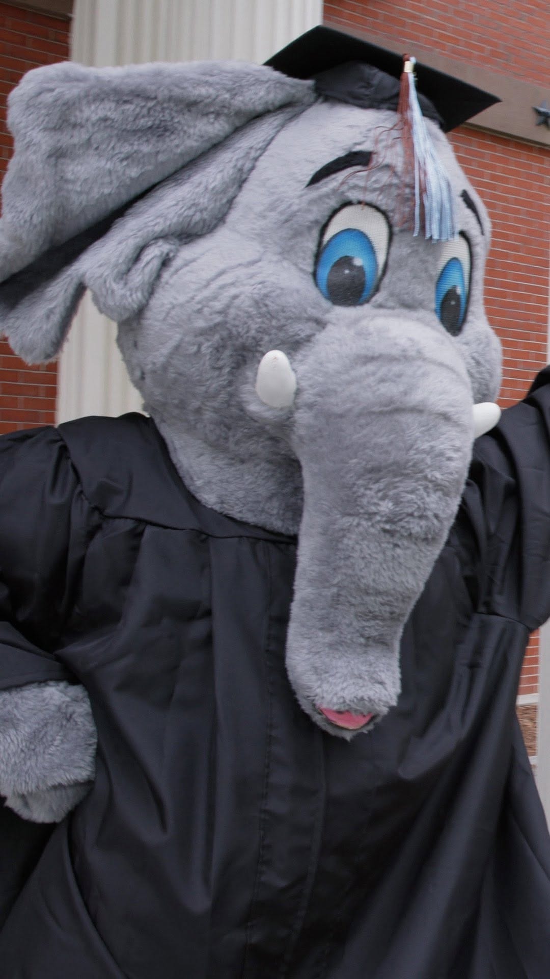Post 7 by Tufts University 🐘 on Instagram (video)